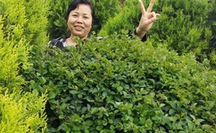 XXXtentacion高清照片